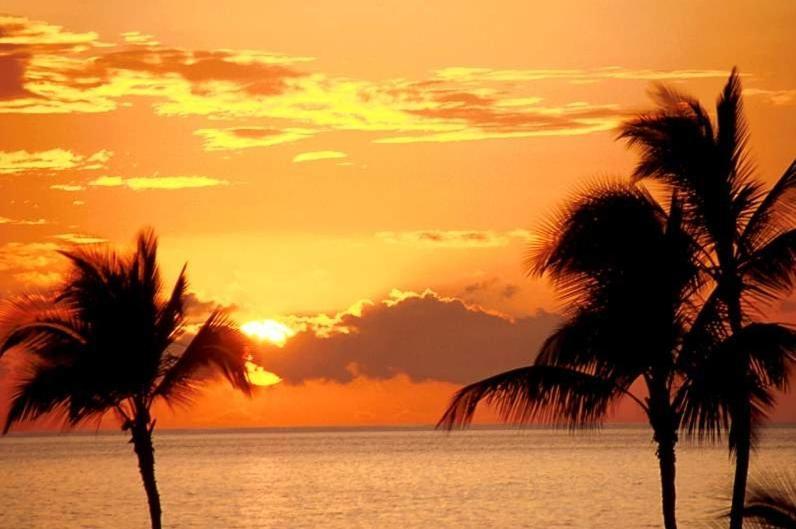 Ap Cote Com Vista Para Mar E Bicicletas Maceió Exteriör bild